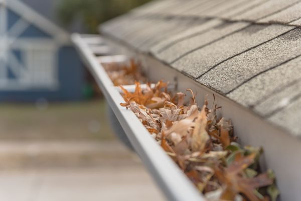 Leaf Barrier Installation in Seminole